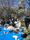 2019hanami009