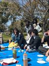 2019hanami010